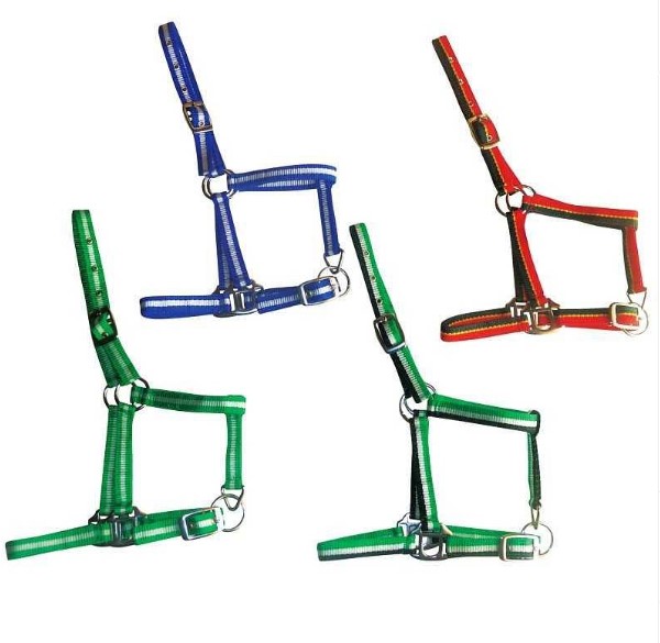 CABEZADA DE NYLON TAMAÑO POTRO CON 2 HEBILLAS