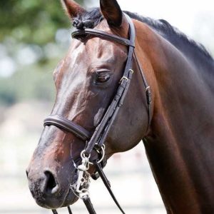 CABEZADA-TATTINI-PARA-BOCADO-Y-FILETE