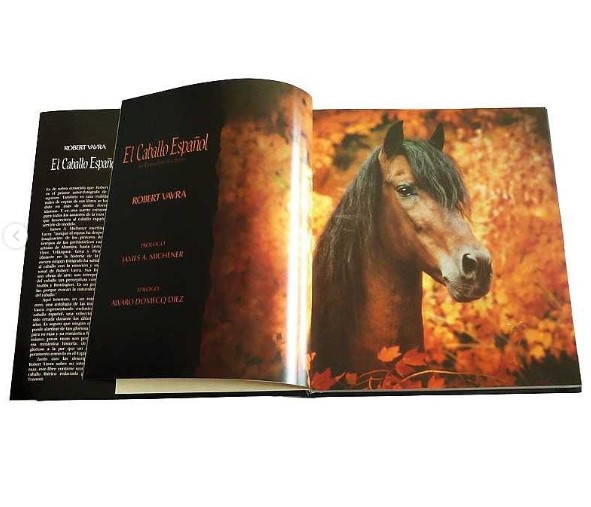 LIBRO EL CABALLO ESPAÑOL