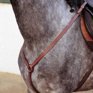PECHOPETRAL MARJOMAN INGLÉS DE Y HEBILLA NIQUELADA