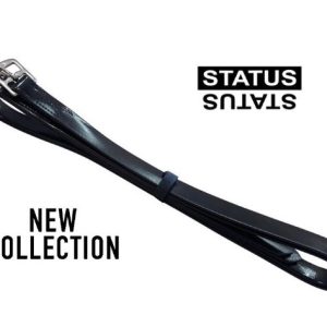 ACIONES STATUS EN PVC PARA SILLA INGLESA