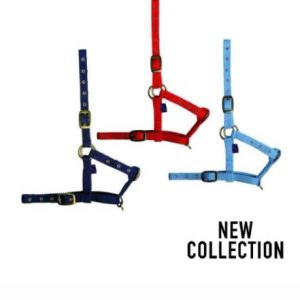 CABEZADA DE CUADRA EN NYLON DE POTRO