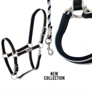 CABEZADA TATTINI CON ACOLCHADO