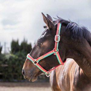 CABEZADA MARJOMAN DE NYLON CLOSED MOUTH